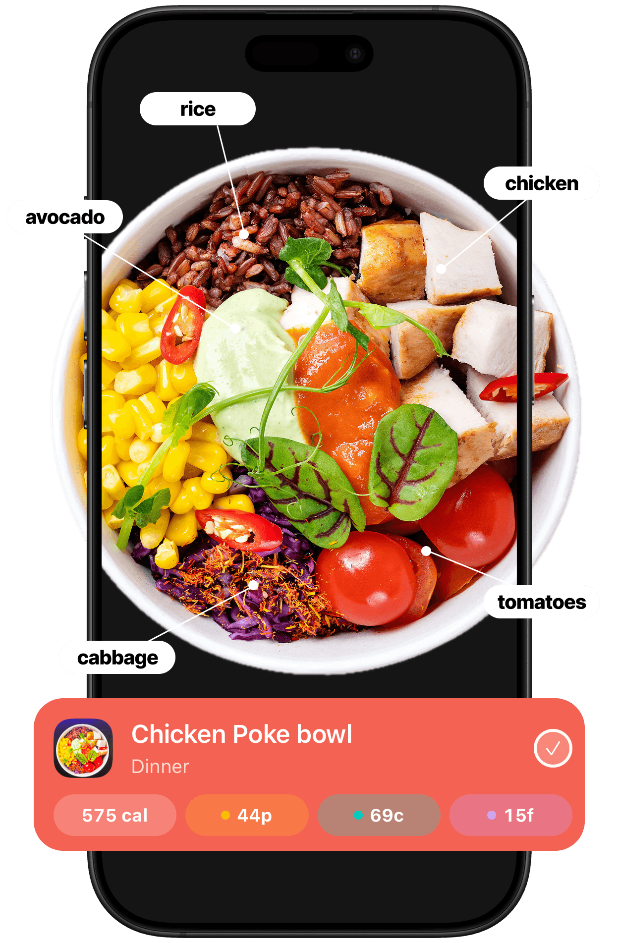 Food Scanner screen in Agefully